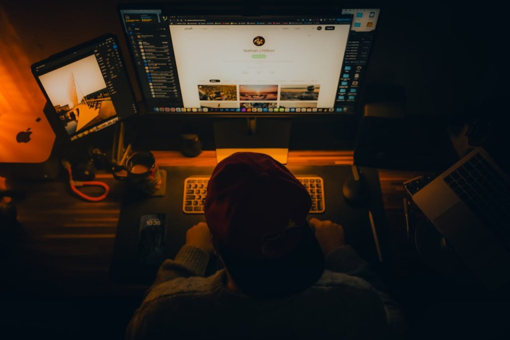 wordpress developer